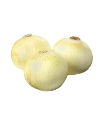 「手紙のついた野菜」淡路島の新玉ねぎ