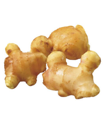 「手紙のついた野菜」しょうが