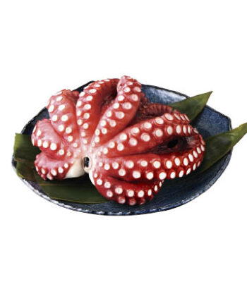 モーリタニア産　真たこ(生食用)