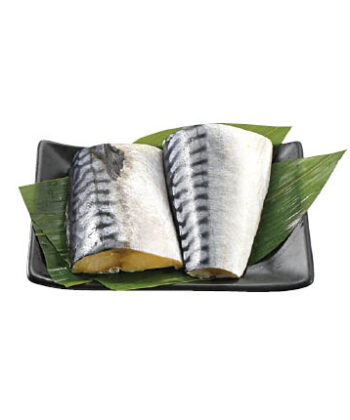 極　旨味昆布塩さば特大