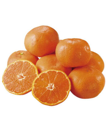 西宇和みかん（日の丸・真穴）