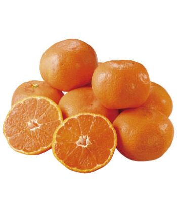 日の丸千両みかん