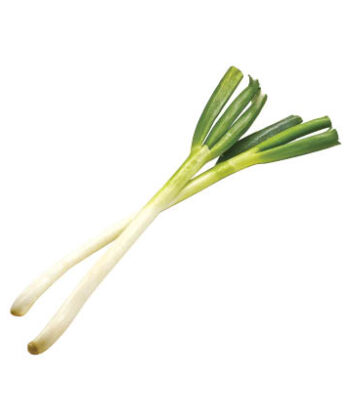 長ねぎ