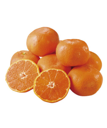 日の丸千両みかん