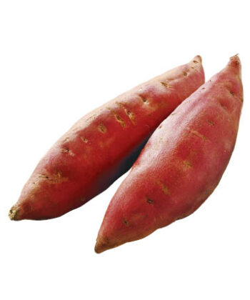 「手紙のついた野菜」五郎島金時