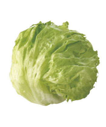 茨城・栃木県または他国内産 レタス