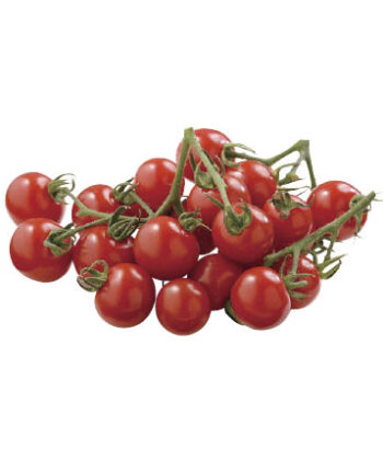 「手紙のついた野菜」甘さがギュッ赤美味ミニトマト