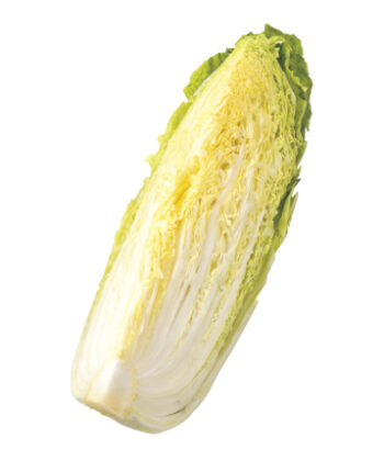 「手紙のついた野菜」霜降り白菜