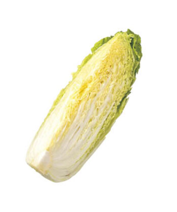 「手紙のついた野菜」　霜降り白菜®