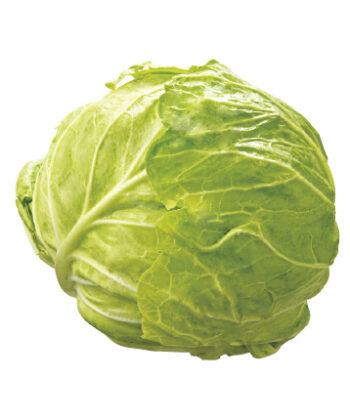 愛知県産 きゃべつ