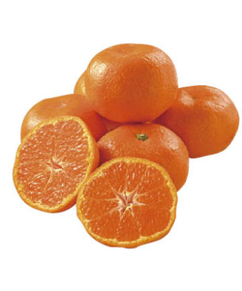 静岡県産 三ヶ日みかん