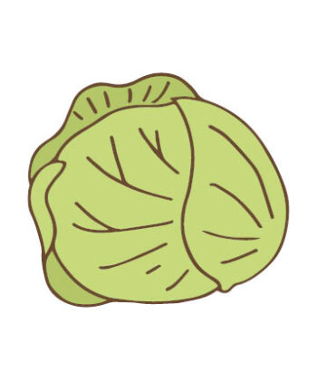 きゃべつの保存方法