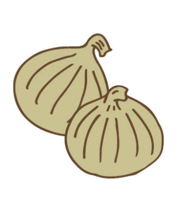 玉ねぎの保存方法