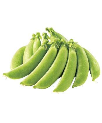 「手紙のついた野菜」スナップえんどう（スジナイン）