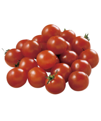 「手紙のついた果物」甘さがギュッ赤美味ミニトマト