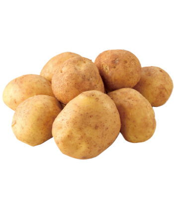 「手紙のついた野菜」新じゃがいも（ニシユタカ）