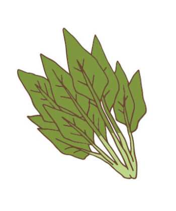 ほうれん草の保存方法