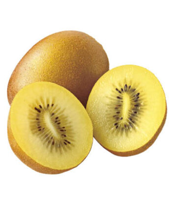 サンゴールドキウイ