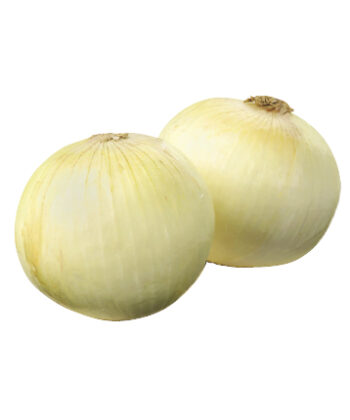 「手紙のついた野菜」淡路島の新玉ねぎ