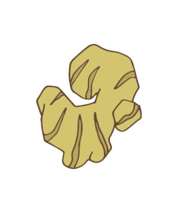 しょうがの保存方法
