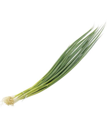 「手紙のついた野菜」味一ねぎ
