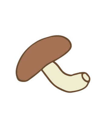 生しいたけの保存方法