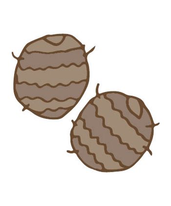 里いもの保存方法